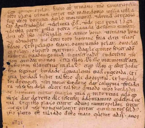 Uma gramática para todos <br> e os primeiros documentos do galego-português